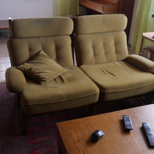 Wohnzimmersofa Zweisitzer