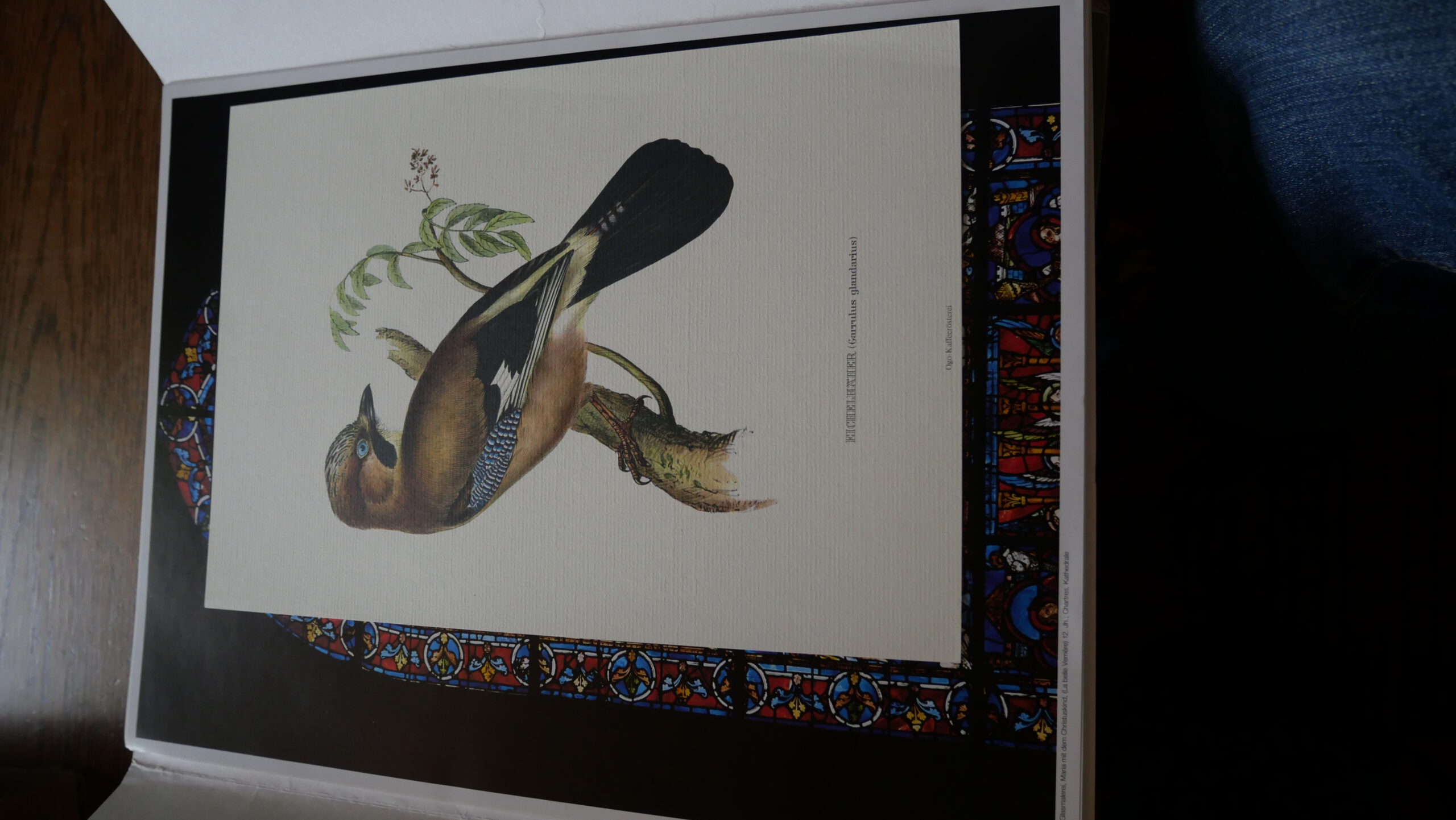 Meisterwerke der Kunst – Bild 2