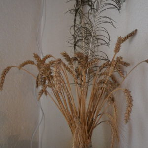 Ähren, Pfauenfedern