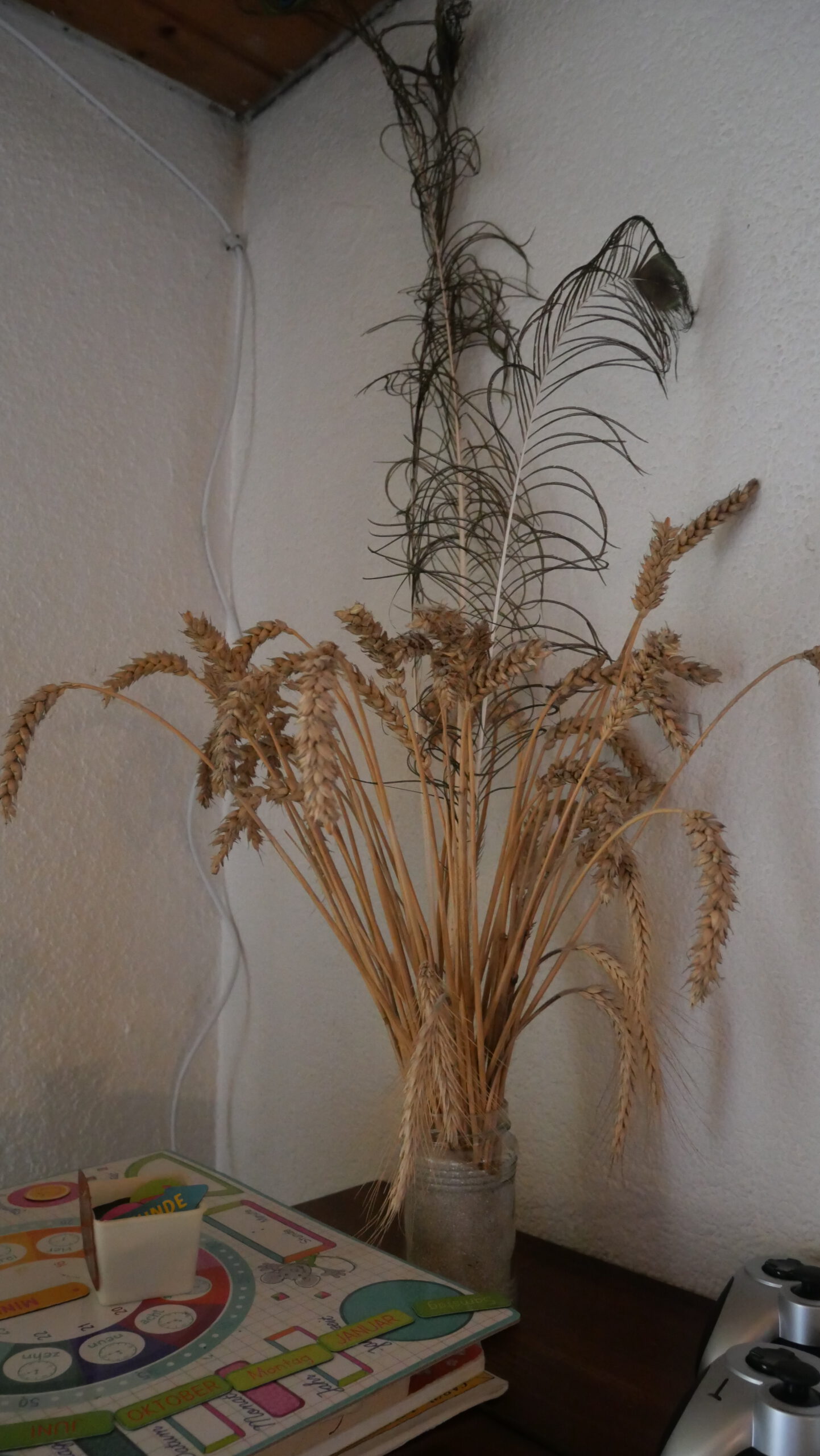 Ähren, Pfauenfedern